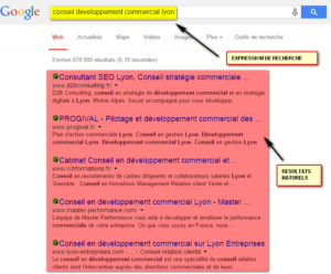 page résultats Google référencement naturel