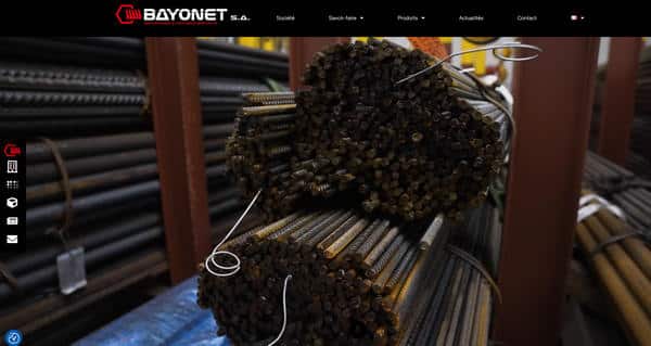 BAYONET