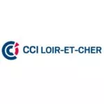 Cci 41