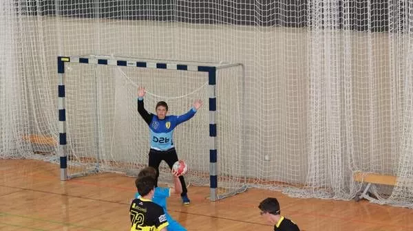 handball Tassin Brindas D2b