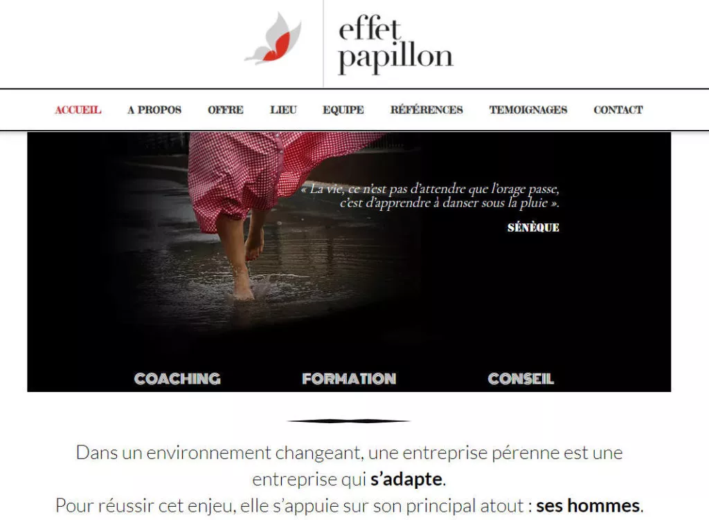Effet Papillon
